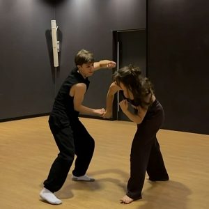 Fight Training
